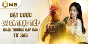 Đặt Cược Đá Gà Trực Tiếp Nhận Thưởng Hấp Dẫn Từ 5mb
