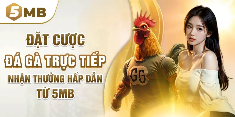 Đặt Cược Đá Gà Trực Tiếp Nhận Thưởng Hấp Dẫn Từ 5mb
