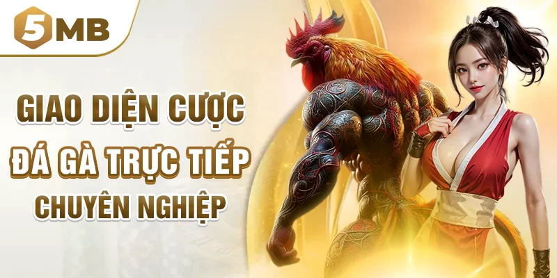 Giao diện cược đá gà trực tiếp chuyên nghiệp