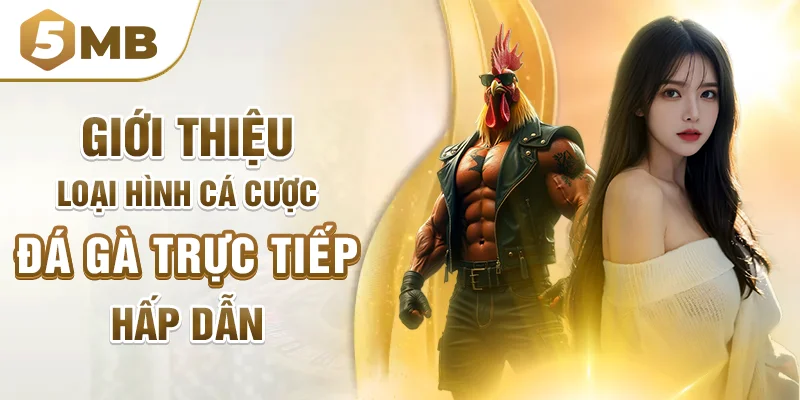 Giới thiệu loại hình cá cược đá gà trực tiếp hấp dẫn