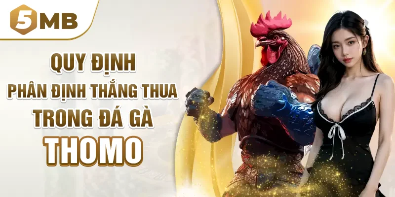 Quy định phân định thắng thua trong đá gà thomo