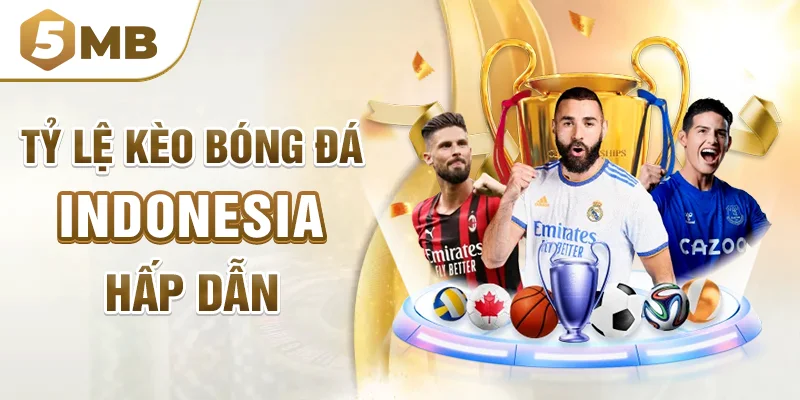Tỷ lệ kèo bóng đá Indonesia hấp dẫn